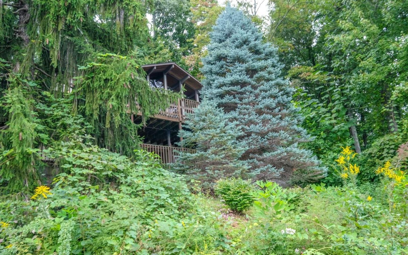 Villa Three Pines 2139 Gatlinburg Exterior foto